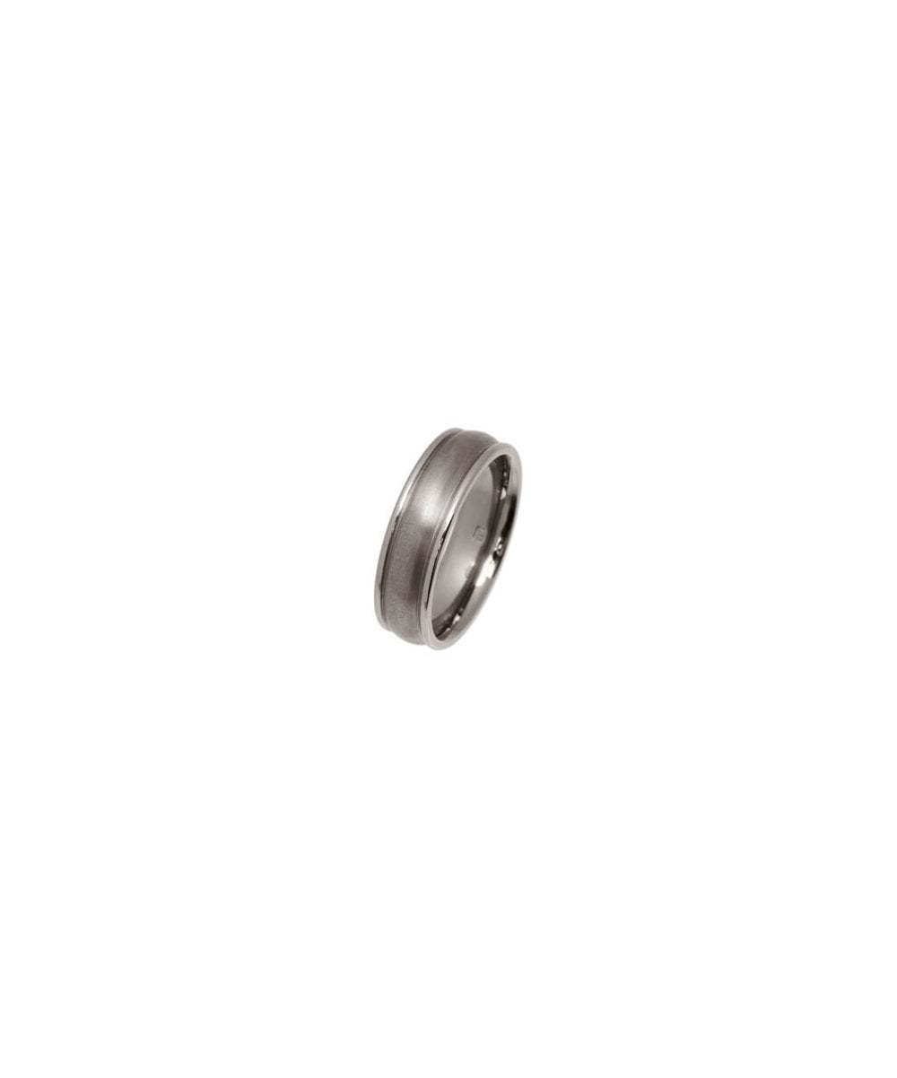 Ti2 Titanium 6mm Raised Edge Ring