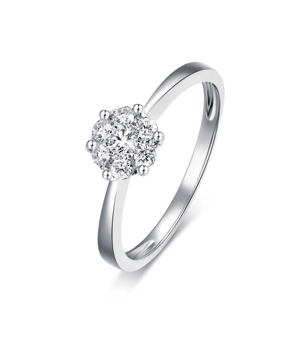 18ct White Gold 0.27ct Diamond Cluster Ring