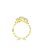 Lab Grown Diamond Trilogy Engagement Ring - Emerald Cut