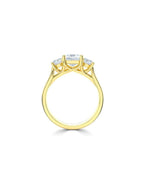 Lab Grown Diamond Trilogy Engagement Ring - Princess Cut