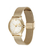 Olivia Burton Classic Bee Gold Plated Mesh Bracelet Watch