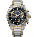 Citizen Eco-Drive Perpetual Chrono A.T Bracelet Watch